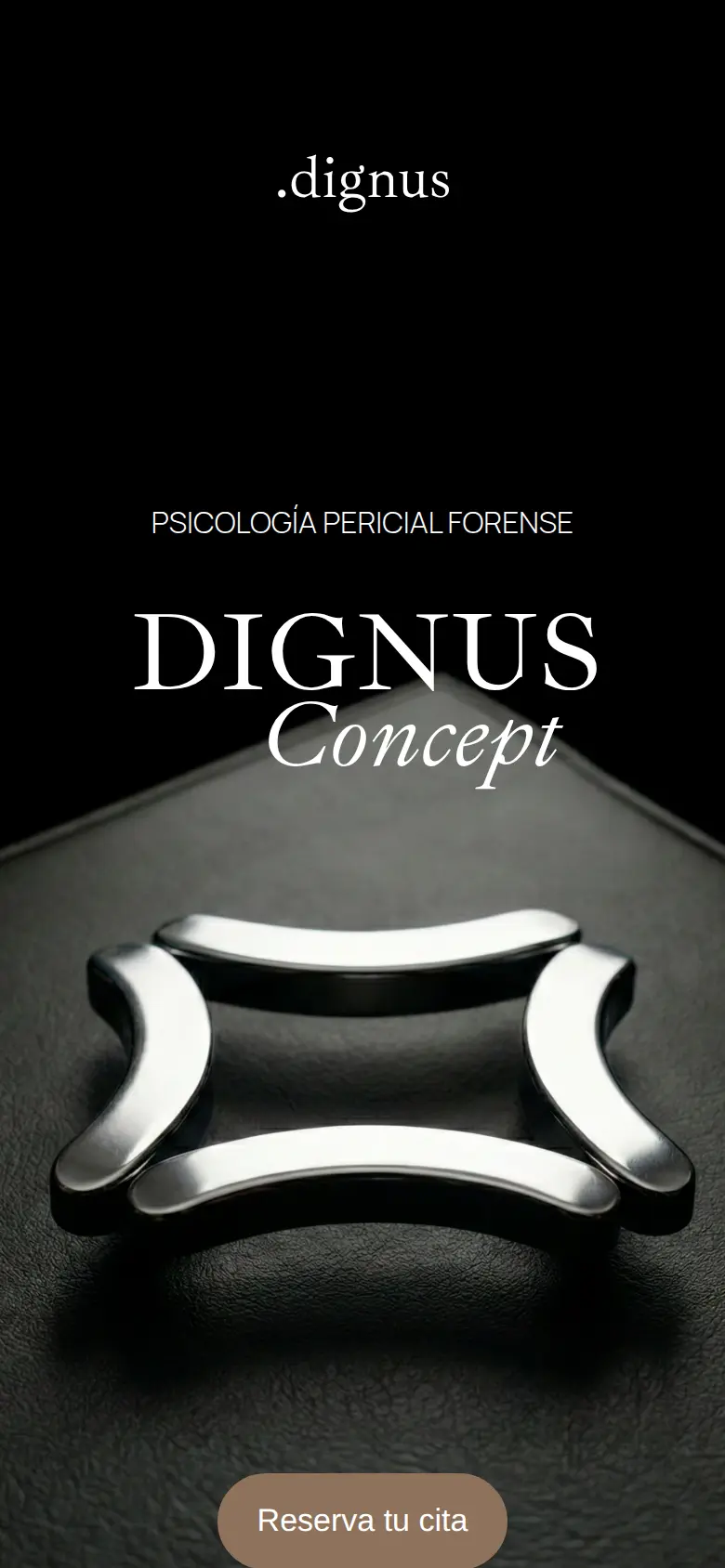 Vista de Dignus Concept